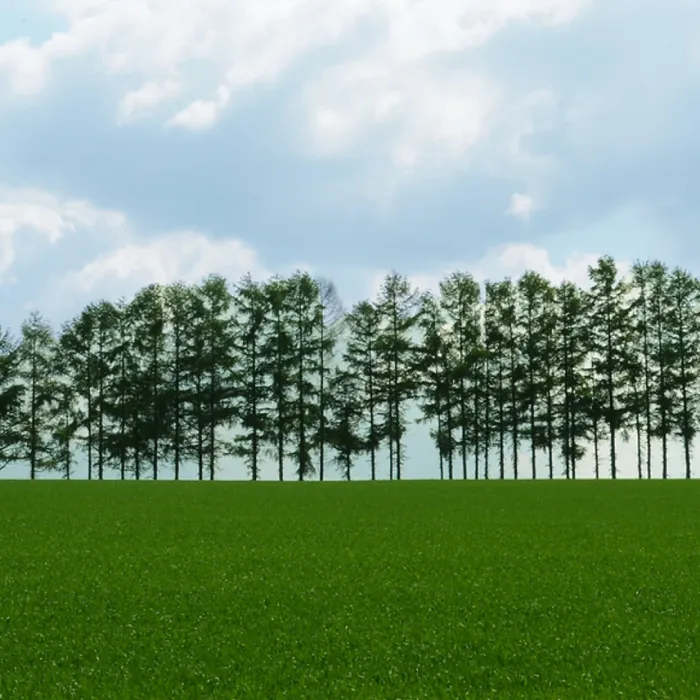 株式会社イーベック