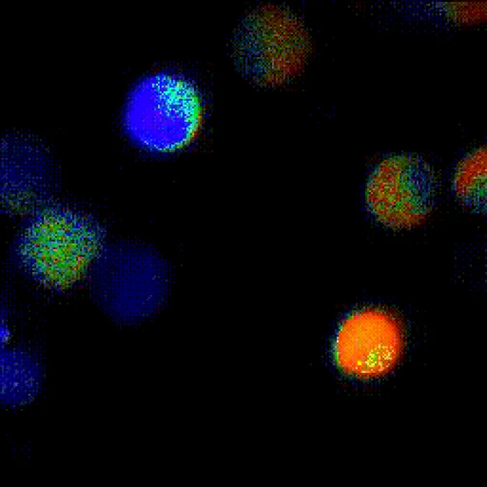 Horizon Illumination Lab Optics, Co. Ltd.