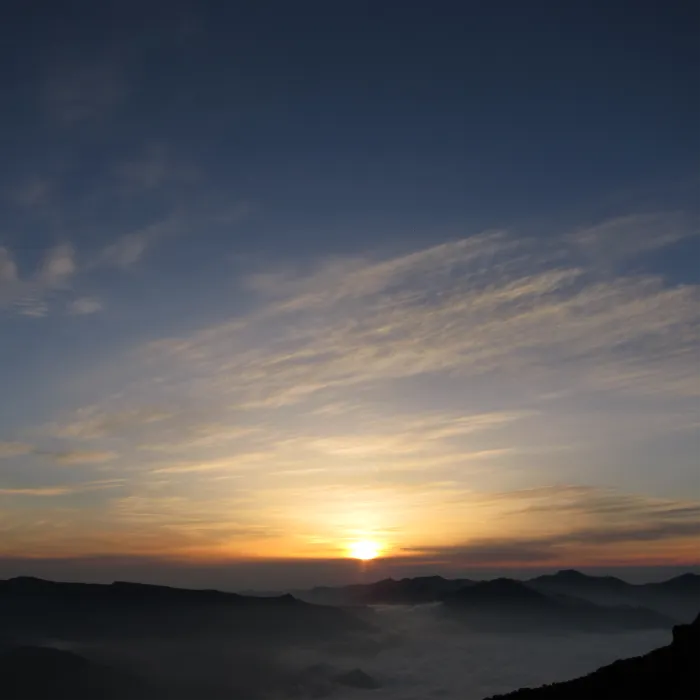 カムイファーマ株式会社