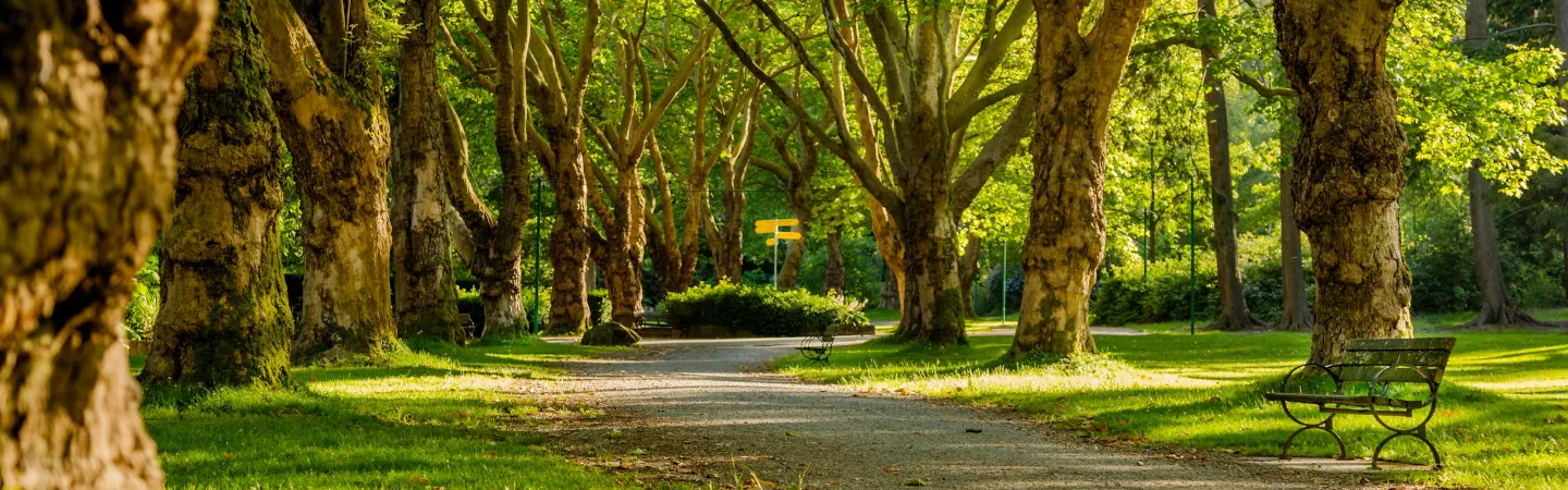 ハラスメント防止ポリシー